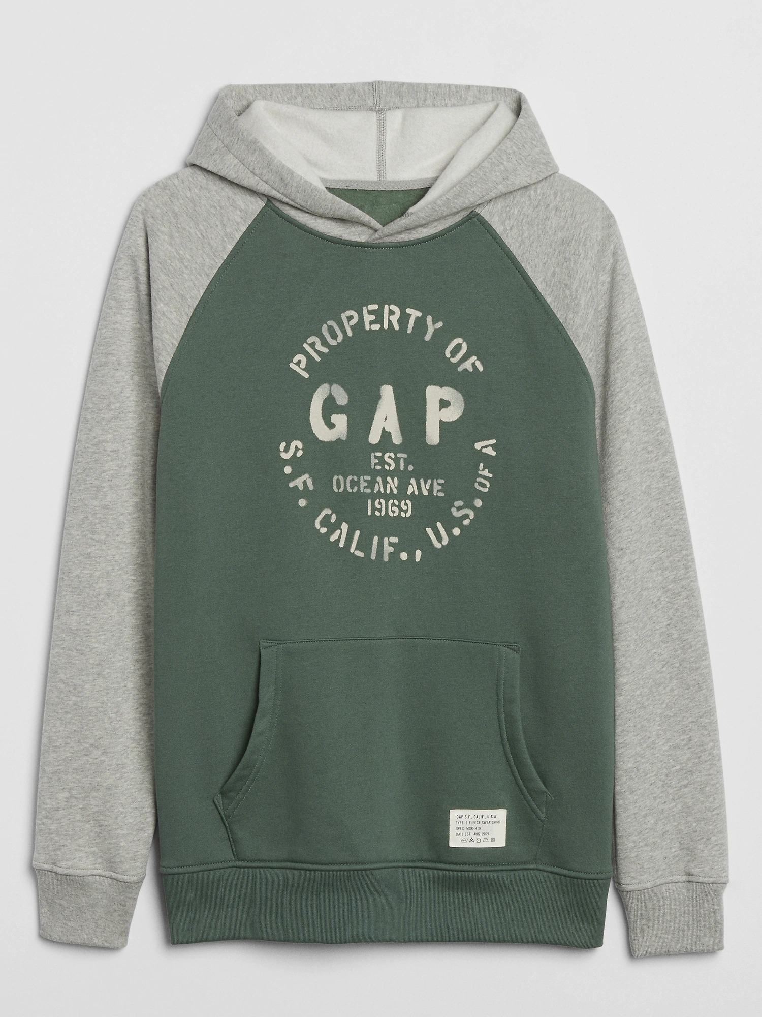 Gap Gap Logo Athletic Kapüşonlu Sweatshirt. 2