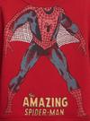 Erkek Bebek Kırmızı Marvel Spider-Man Sweatshirt