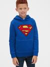 Erkek Çocuk Gri DC™ Kapüşonlu Sweatshirt