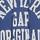 Gap Logo Kapüşonlu Sweatshirt001