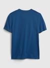 Erkek Çocuk Siyah DC™  100% Organik Pamuk Grafik Baskılı T-Shirt