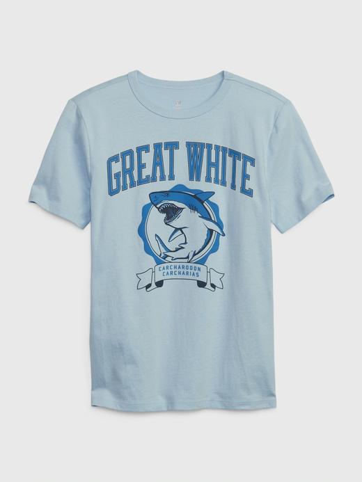 Erkek Çocuk Mavi 100% Organik Pamuk T-Shirt