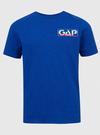 Erkek Çocuk Mavi Gap Logo T-Shirt