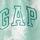 Gap Logo Jogger Eşofman Altı004