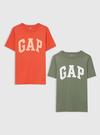 Erkek Çocuk Çok Renkli Gap Logo T-Shirt