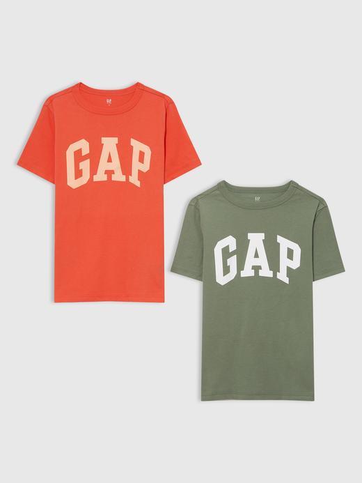 Erkek Çocuk Çok Renkli Gap Logo T-Shirt
