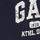 Gap Logo Jogger Eşofman Altı001