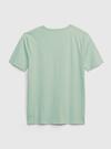 Erkek Çocuk Lacivert 100% Organik Pamuk Grafik Baskılı T-Shirt