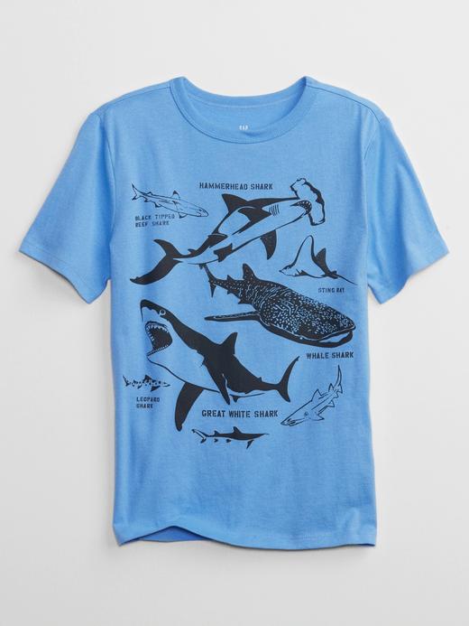 Erkek Çocuk Mavi Grafik Baskılı T-Shirt